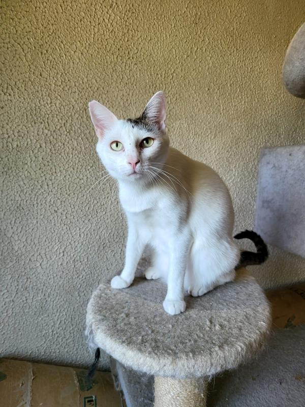 Lupita