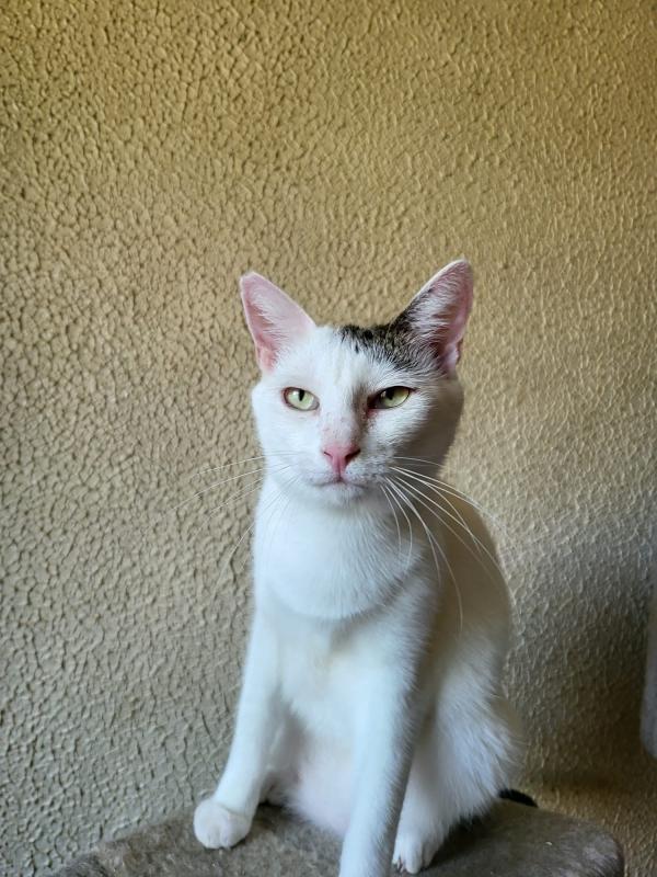 Lupita