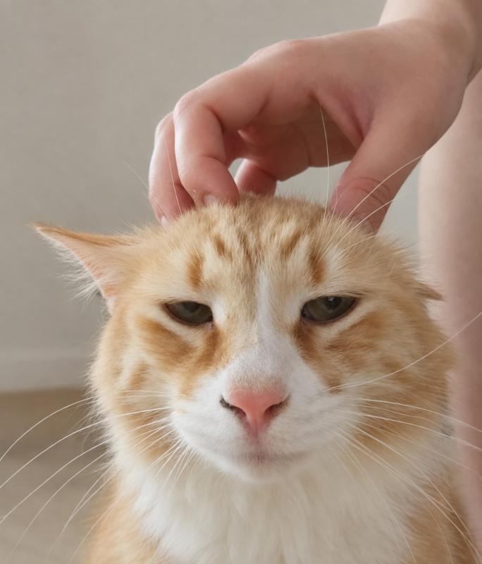 Fluffy