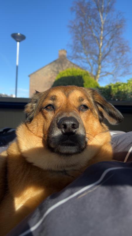 Billy Boy