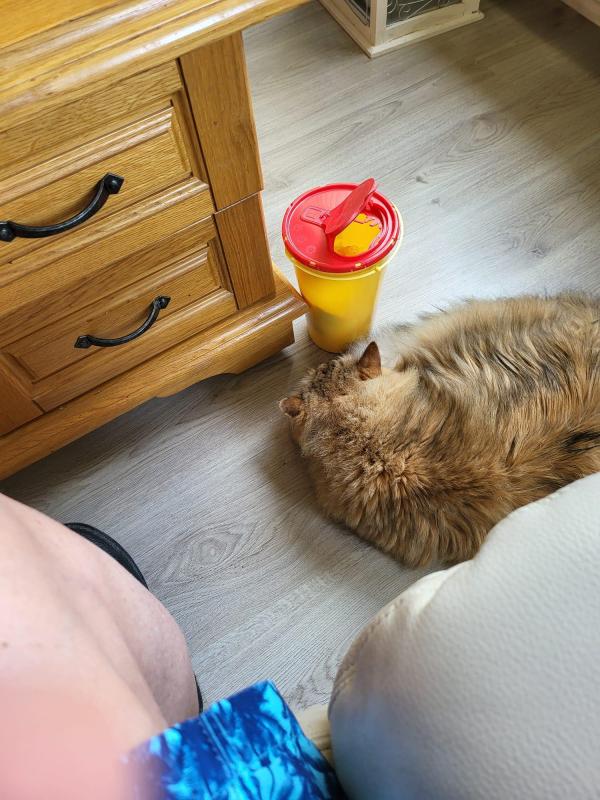 Kito