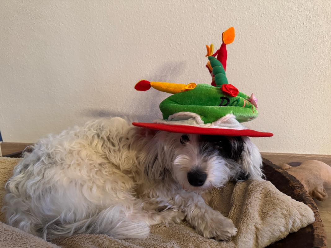 Nacho