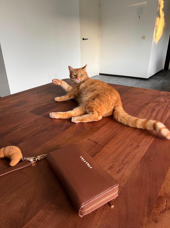 Cinnamon
