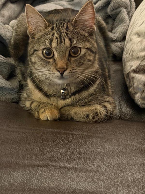 Yuki