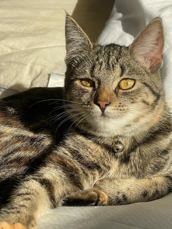Yuki