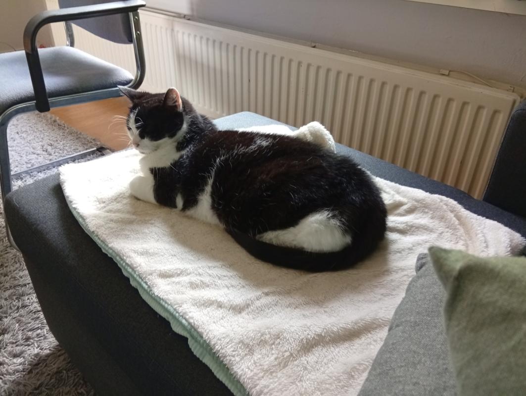 Miep