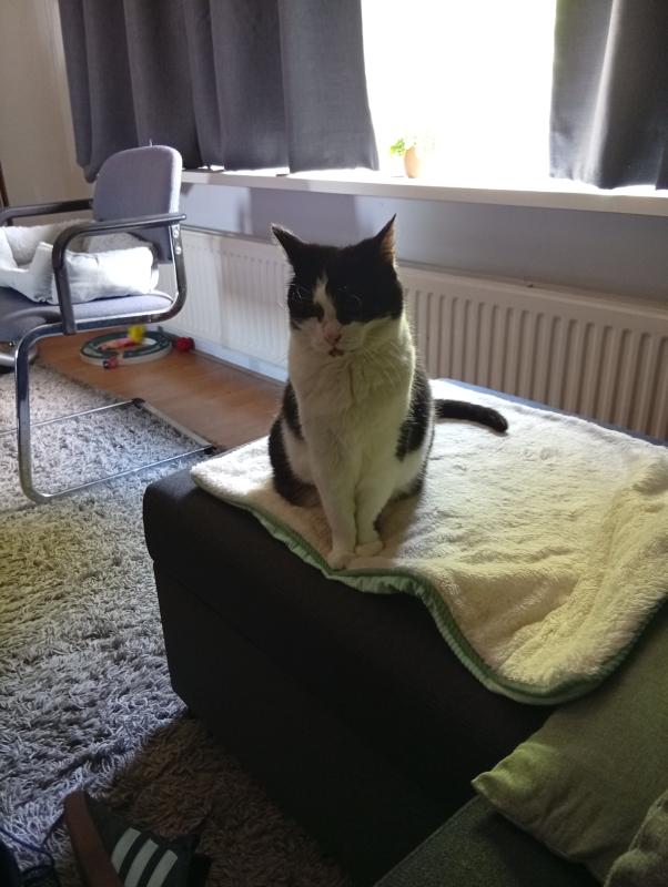 Miep