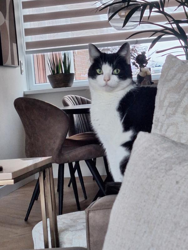 Milo