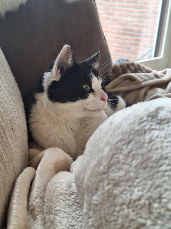 Milo