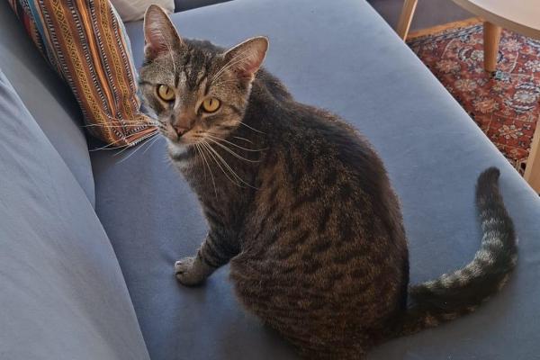 Charlie