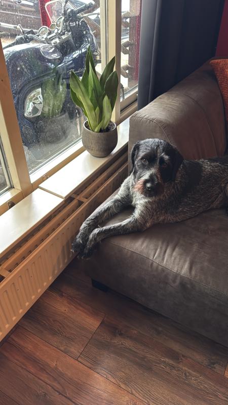 Max
