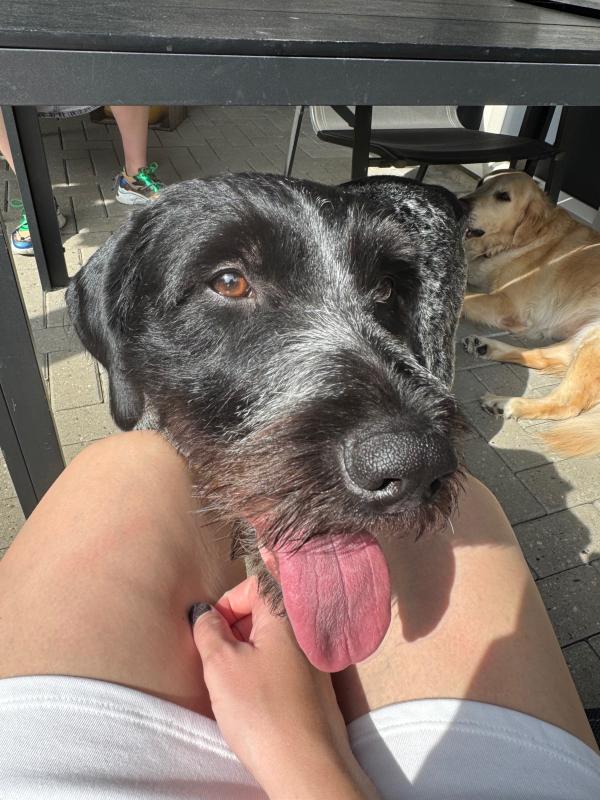 Max
