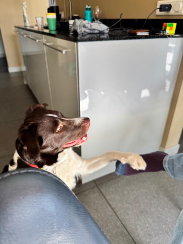 Murphy