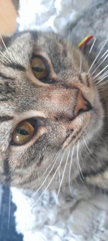 Charlie
