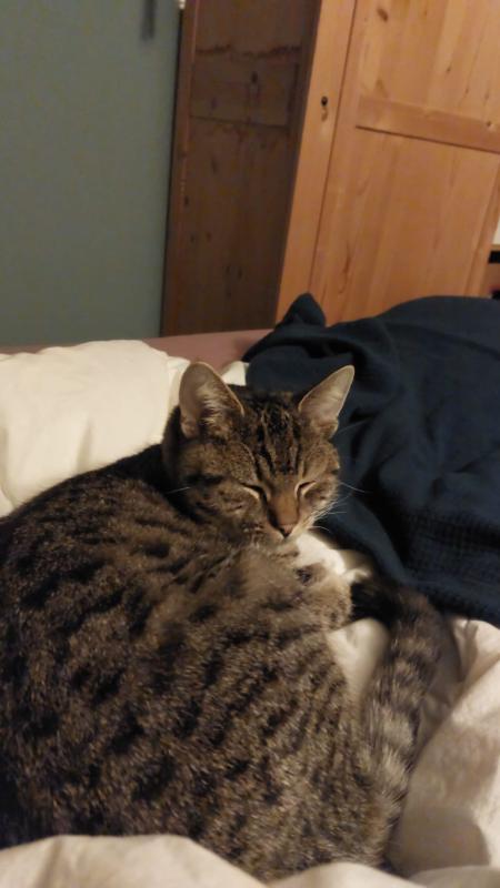 Charlie