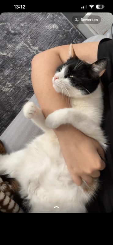 Mila