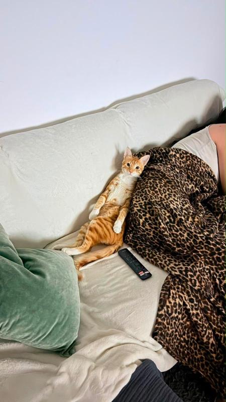Cuddles