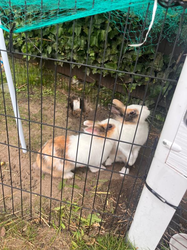 Bubu & Kiki