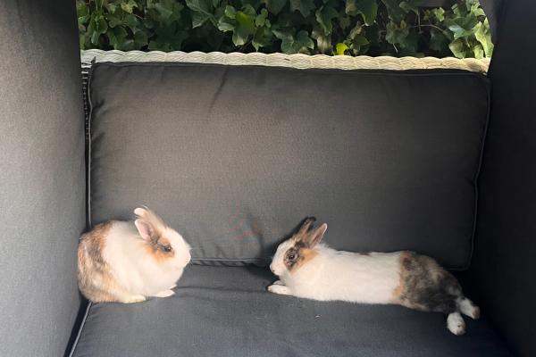 Bubu & Kiki