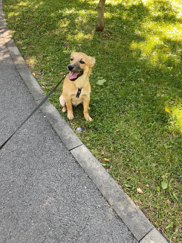 Pluto
