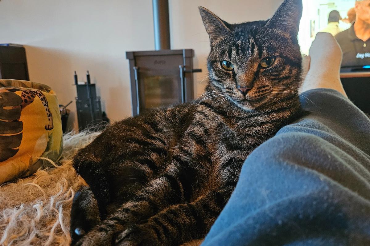 Pepper