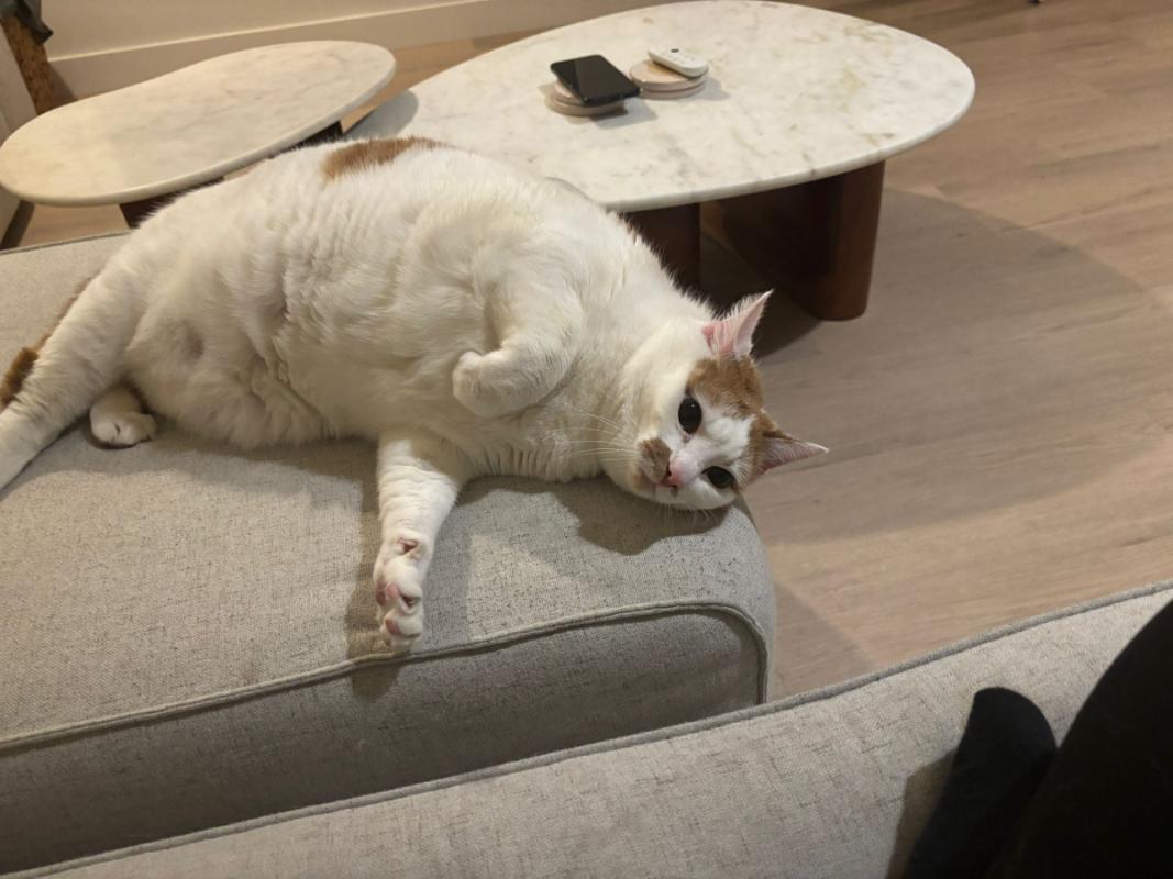Nala