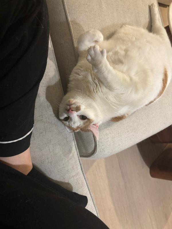 Nala