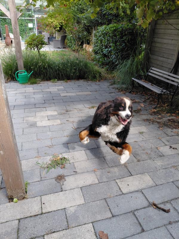 Max