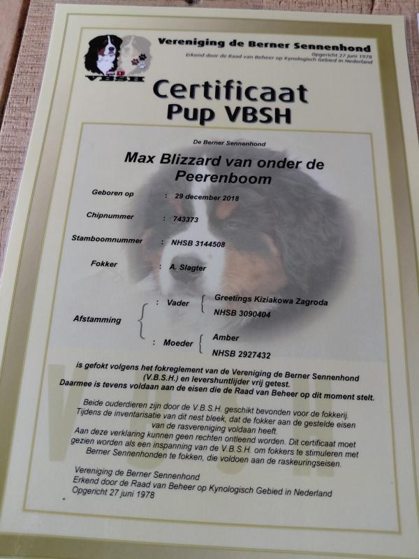 Max