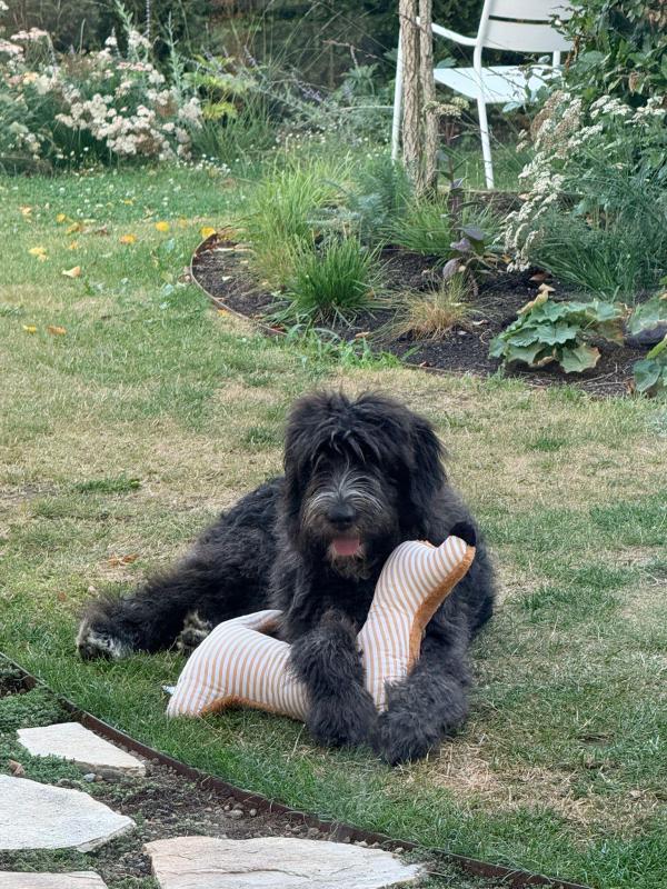 Wilson