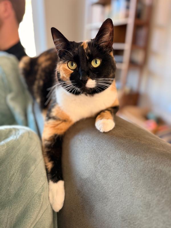 Lilly