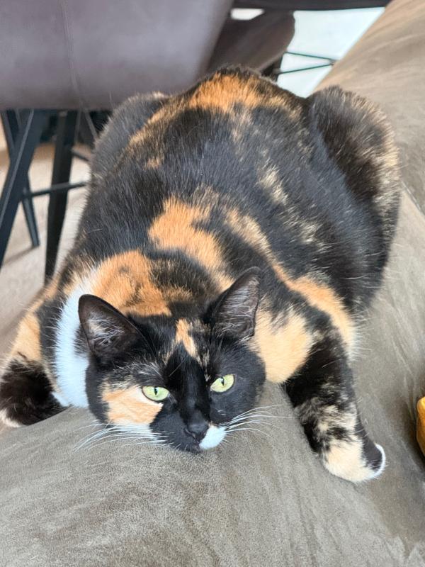 Lilly