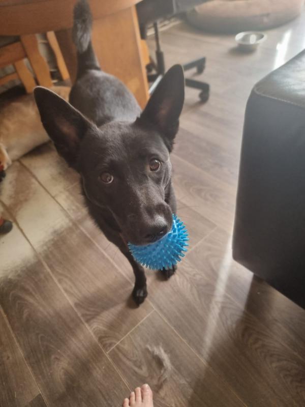 Blacky