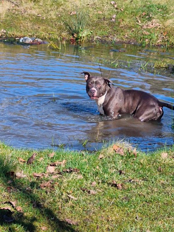 Tyco