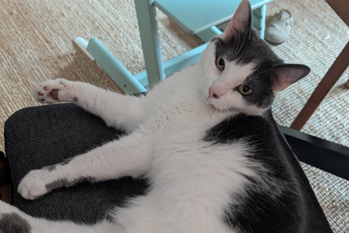 Nala