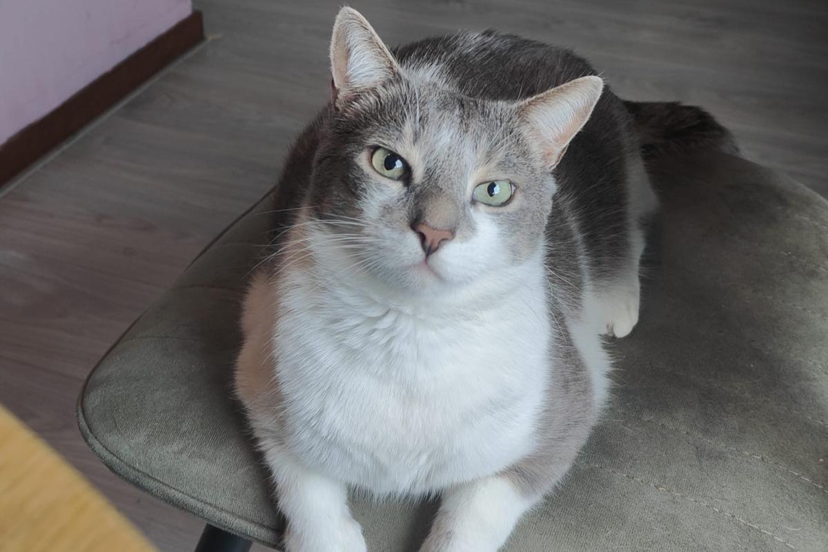 Victor