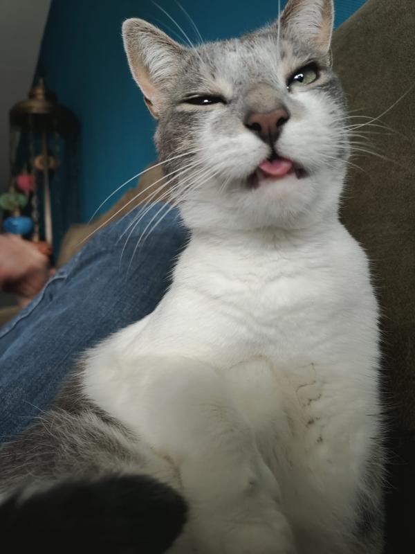 Victor