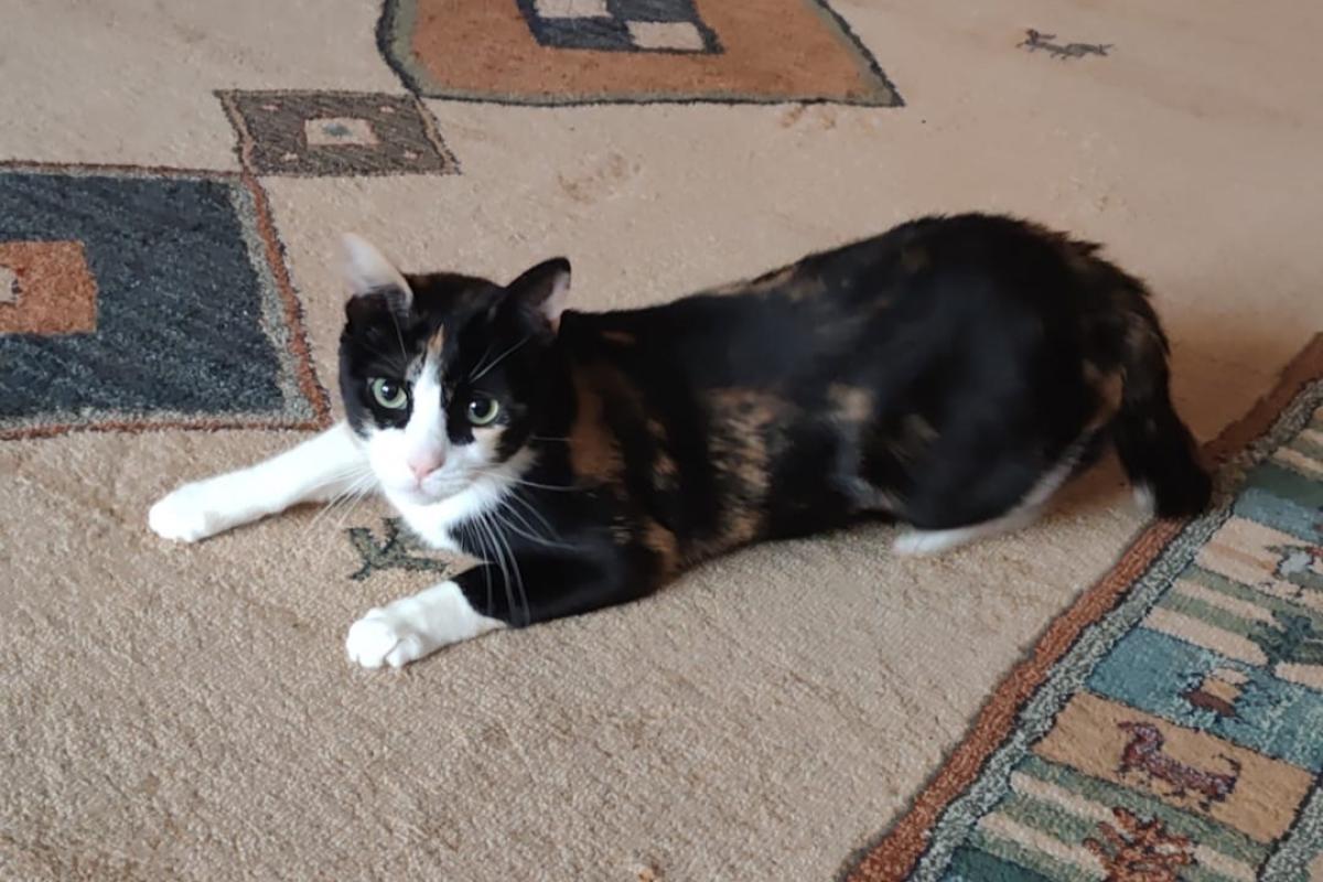 Olivia