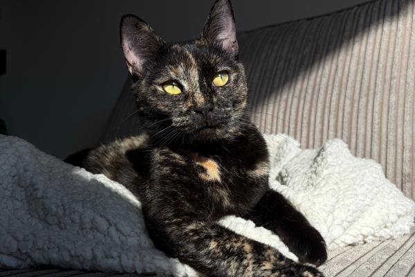 Bella
