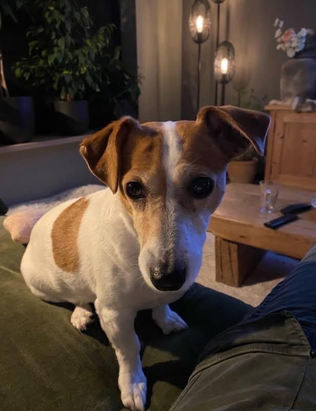 Pip