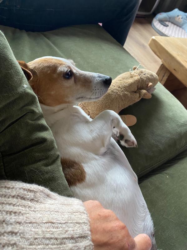 Pip
