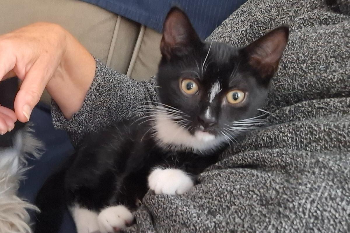 Sid