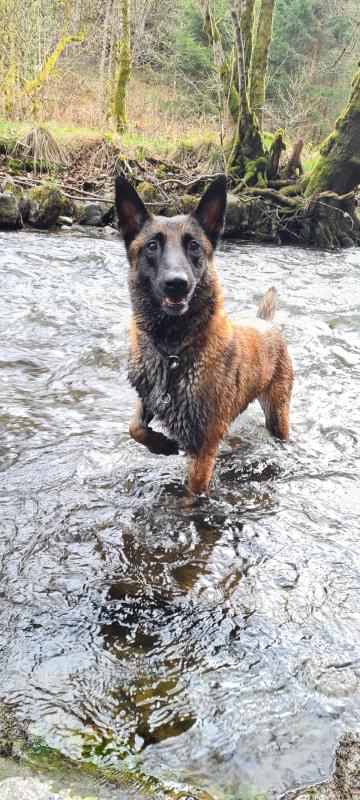 Skye