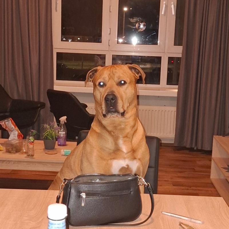 Pablo