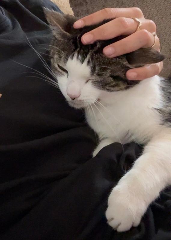 Mylo
