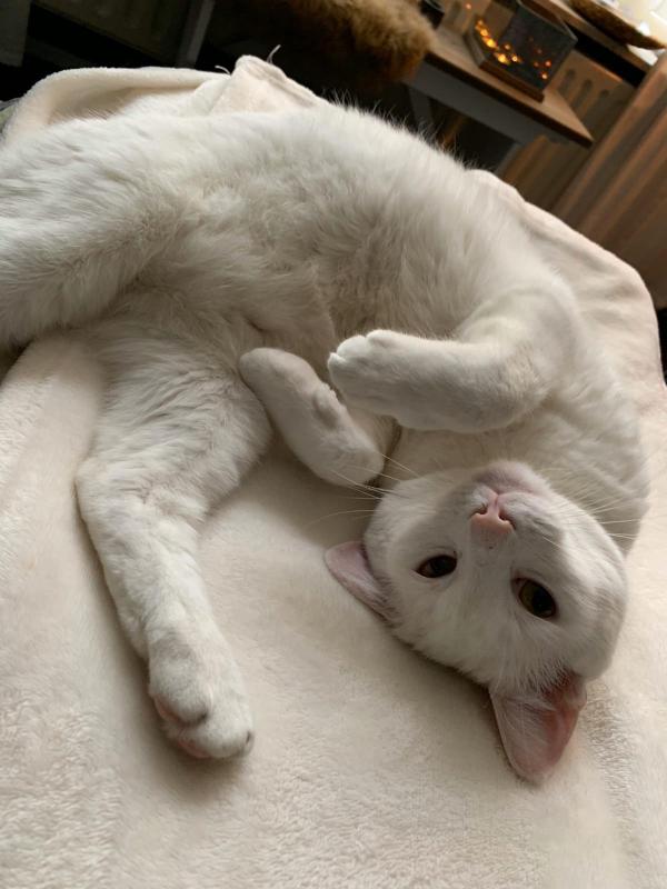 Luna