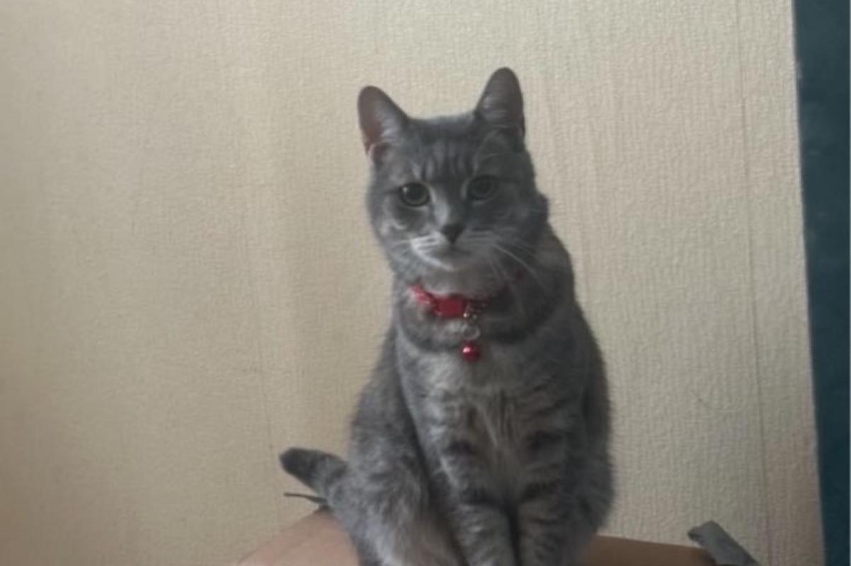 Askim