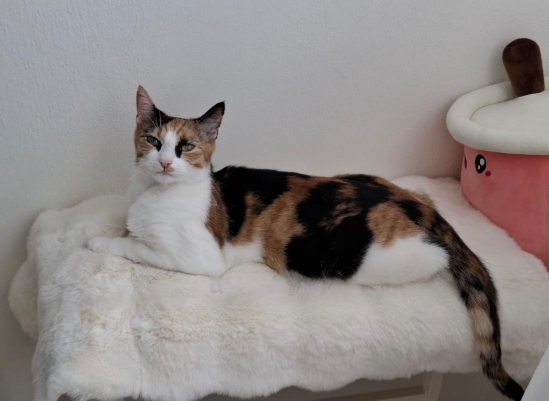 Coco