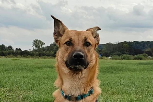 Nash