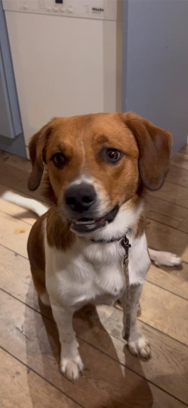 Ted